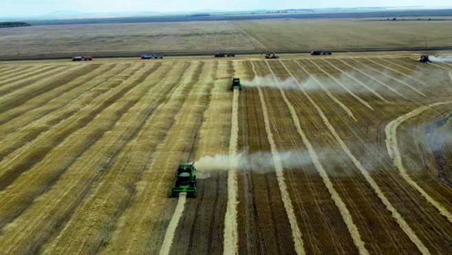 جۇرەگى جۇمساق ىسكەر جان