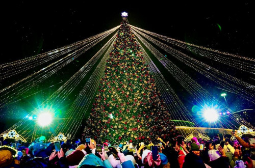 استانادا ءبىر مەزەتتە 30-دان استام شىرشانىڭ شامى جاعىلدى