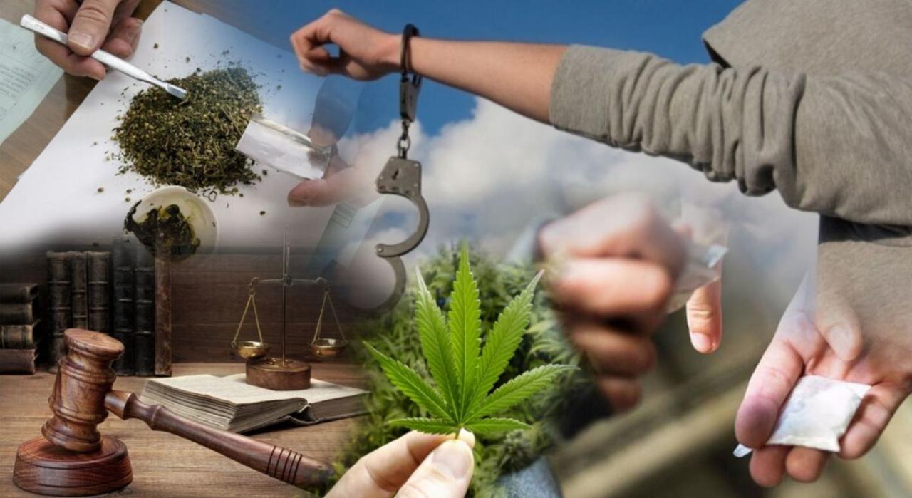 سەناتورلار ەسىرتكى ساۋداسىنا قارسى زاڭدى ماقۇلدادى