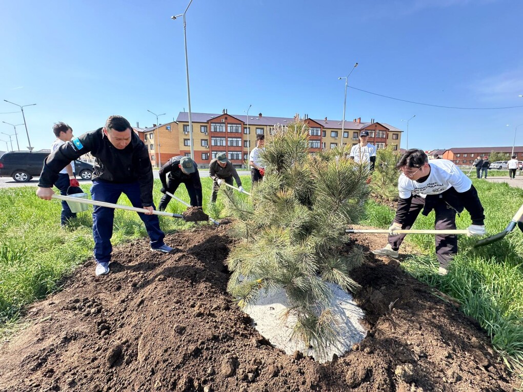 بۇگىن – كوشەت, ەرتەڭ – سايا