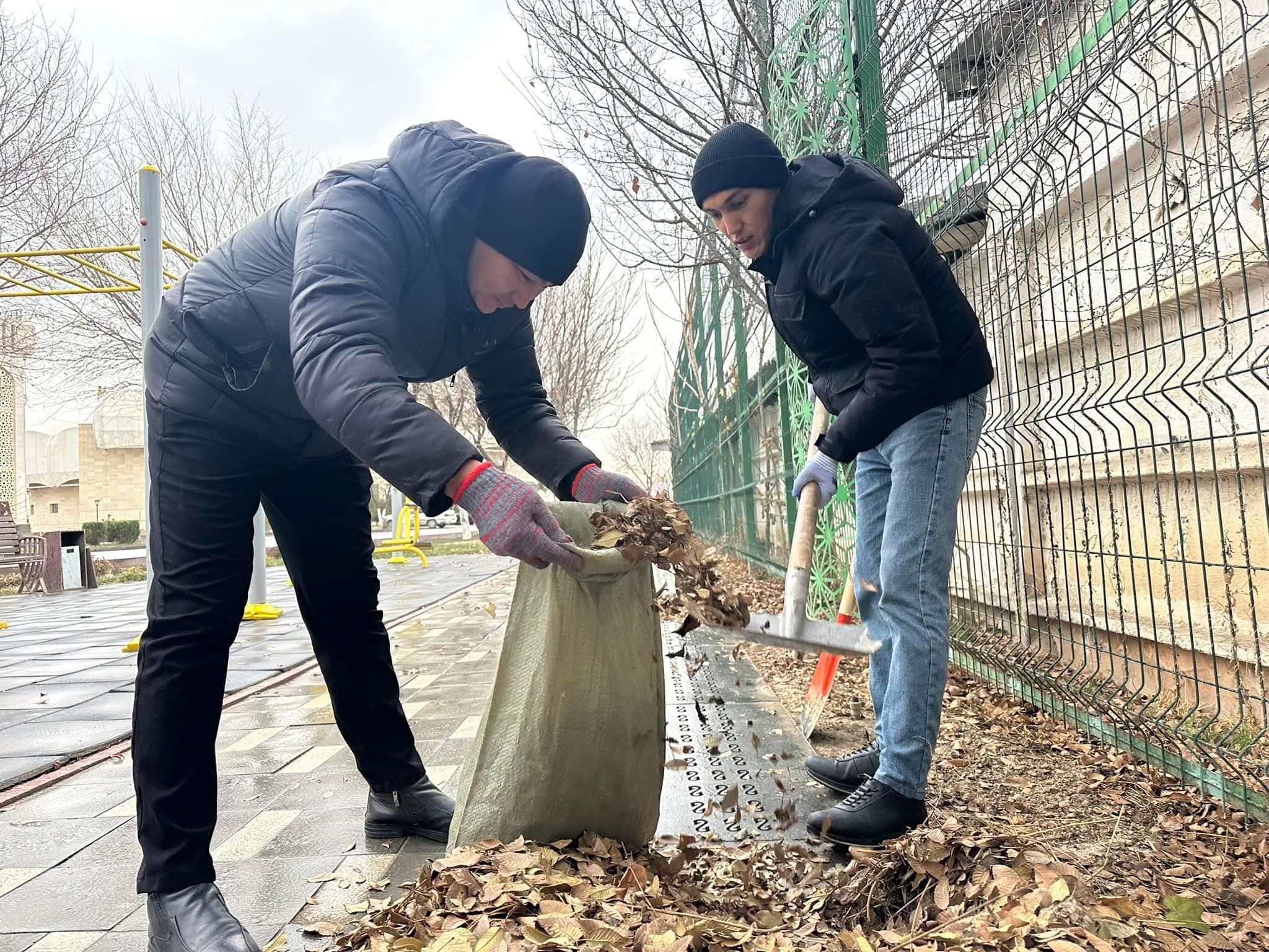 اۋىل تازالىعى اۋلادان باستالادى