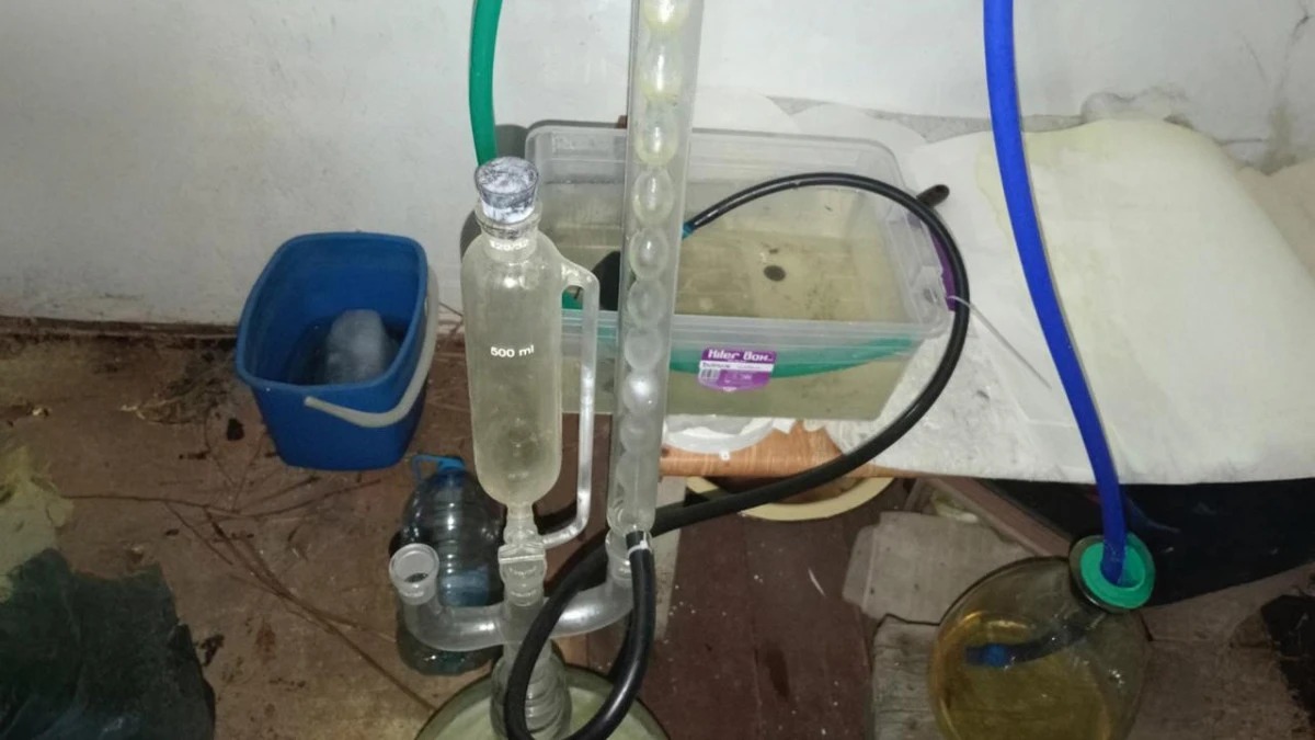 ۇقك قوستاناي وبلىسىندا ءىرى ەسىرتكى زەرتحاناسىن انىقتادى