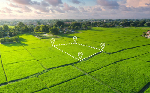 جەردى پايدالانۋ كونكۋرسى كەزىندە زاڭسىزدىقتار انىقتالعان