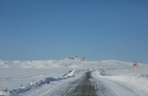شىعىس قازاقستان وبلىسىندا كولىك قوزعالىسىنا شەكتەۋ قويىلدى