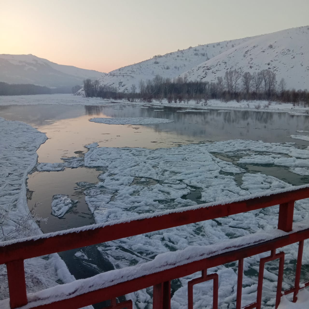 ەرتىس نەگە تاسىدى؟