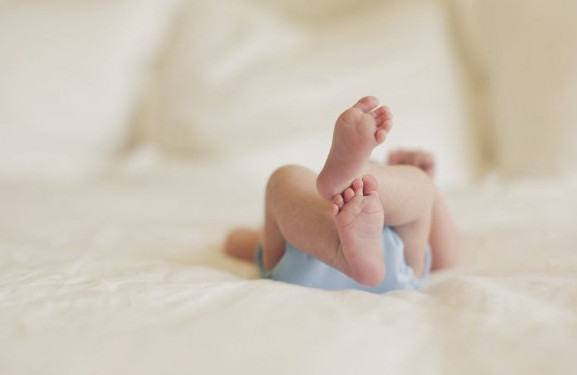 بيىل جاڭا تۋعان سابيلەرگە ەڭ كوپ قويىلعان ەسىمدەر انىقتالدى