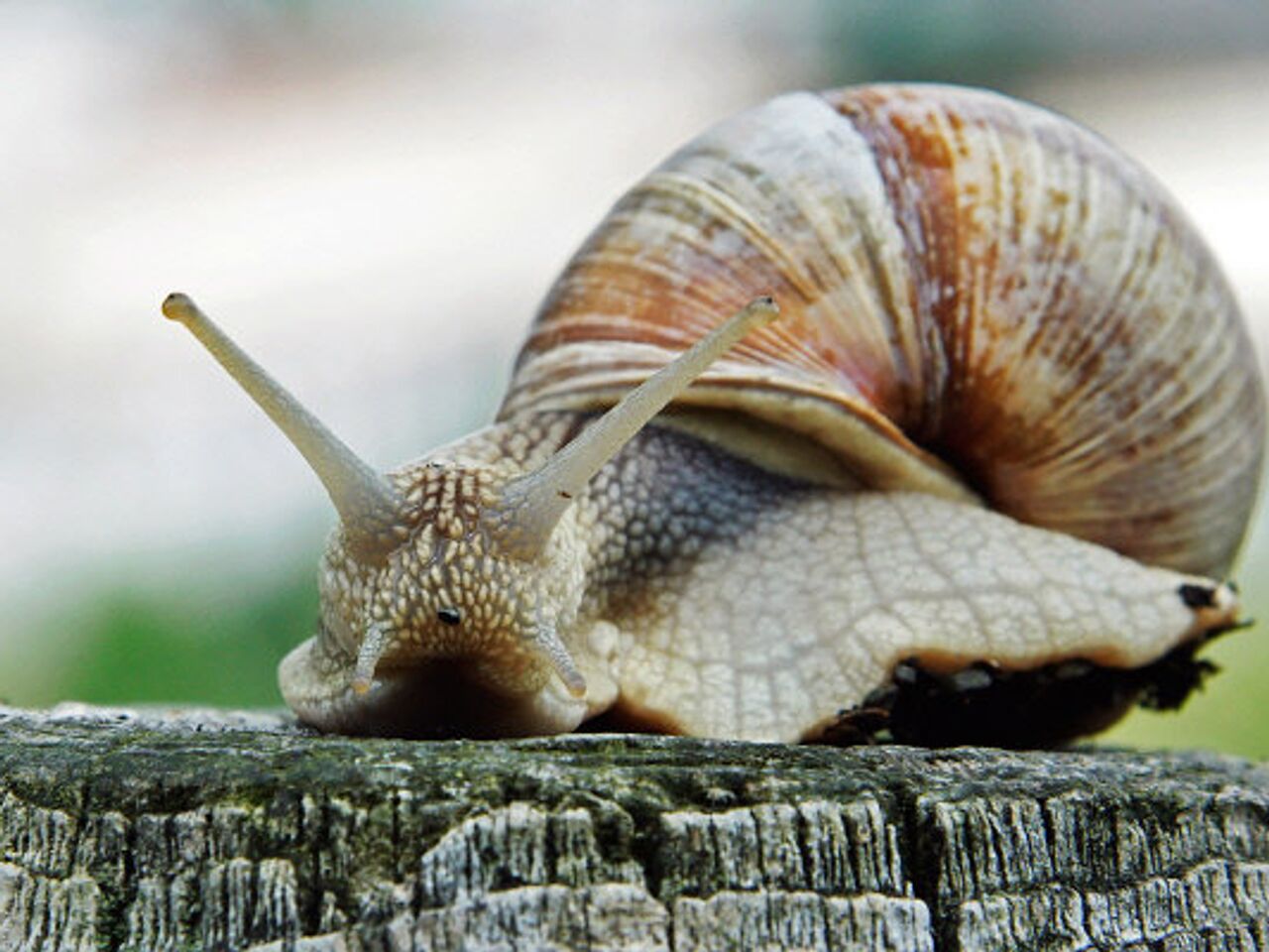 2024 جىل: قازاقستاندا حالىق ەسىندە قالار قانداي وقيعالار بولدى