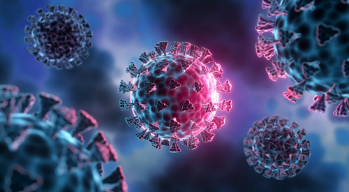 قىتايدا تاراعان ۆيرۋس قازاقستاندا انىقتالدى ما