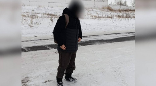 «مەنى ۇرلاپ كەتتى». 13 جاستاعى ءجاسوسپىرىمنىڭ اتا-اناسى جاۋاپقا تارتىلدى