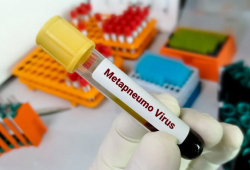 باتىس قازاقستان وبلىسىندا ەكى بالا مەتاپنەۆموۆيرۋستى جۇقتىرعان