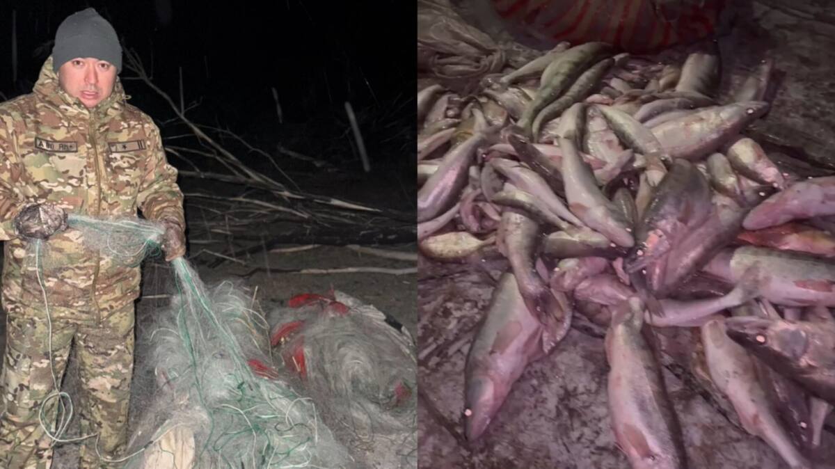 100 كەلى بالىق: جەتىسۋدا براكونەر ۇستالدى