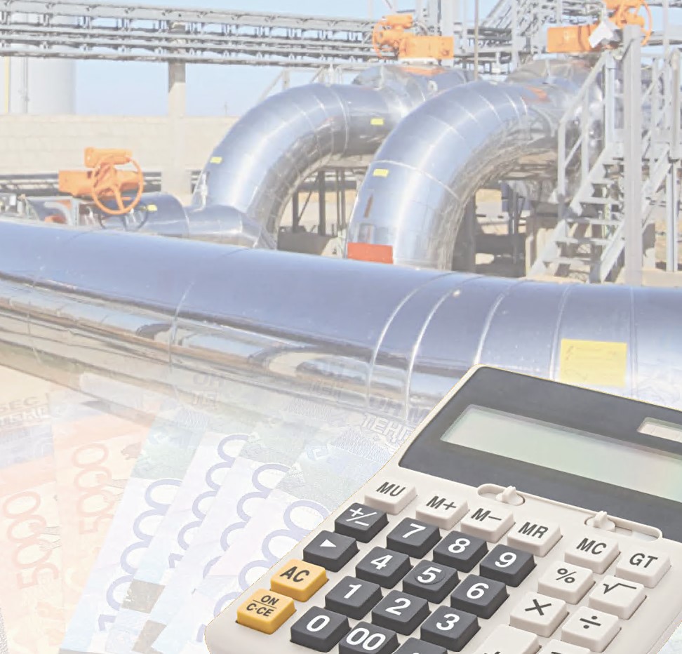 ورلەۋ جولى: ىشكى ءونىمنىڭ ءوسىمى