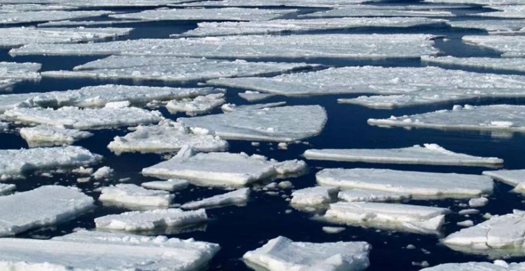 تاسقىننىڭ الدىن الۋ بويىنشا 56 جوبا ىسكە اسىرىلىپ جاتىر