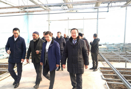 دەپۋتاتتار تۇركىستان وبلىسىنداعى كاسىپورىنداردى ارالادى