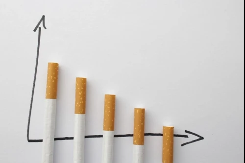 قازاقستانداعى ەرلەردىڭ ۇشتەن ءبىرى تەمەكى تارتادى - ستاتيستيكا