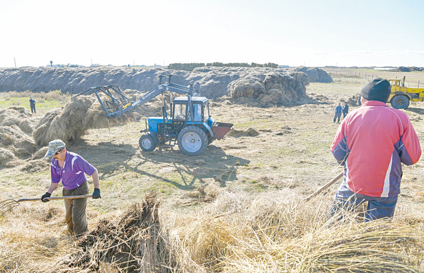 ميلليوننان استام مال قىستاۋعا كىردى