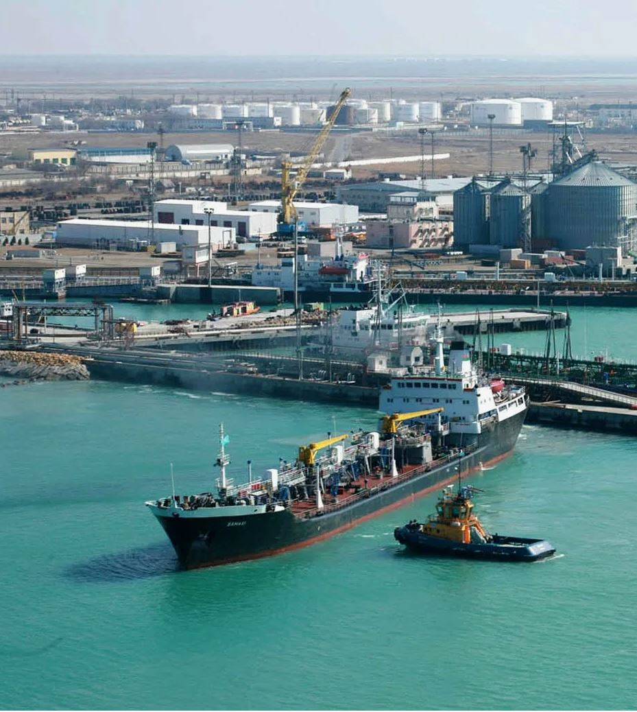 ترانسكاسپي تىنىسى مەن تۇيتكىلى