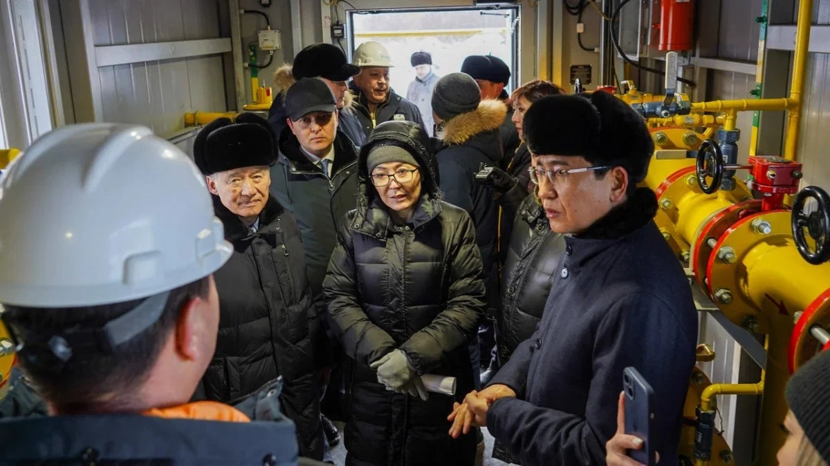 وندىرىستىك جانە الەۋمەتتىك نىسانداردى ارالادى