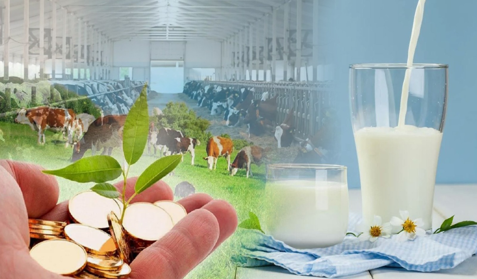 ىنتالىعا بەرەكە بار