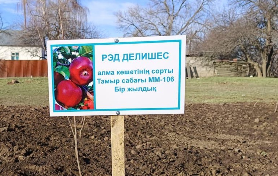 شارۋالارعا قولداۋ كورسەتەتىن ورتالىق