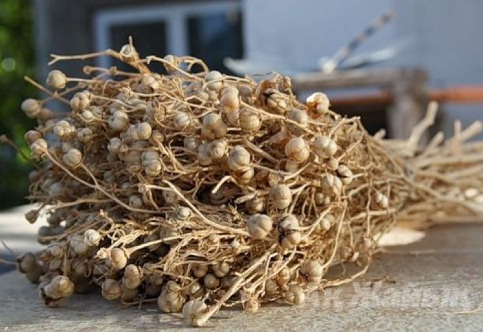 رەسەي شەكاراسىنان ادىراسپان وتكىزۋگە تىيىم سالىندى