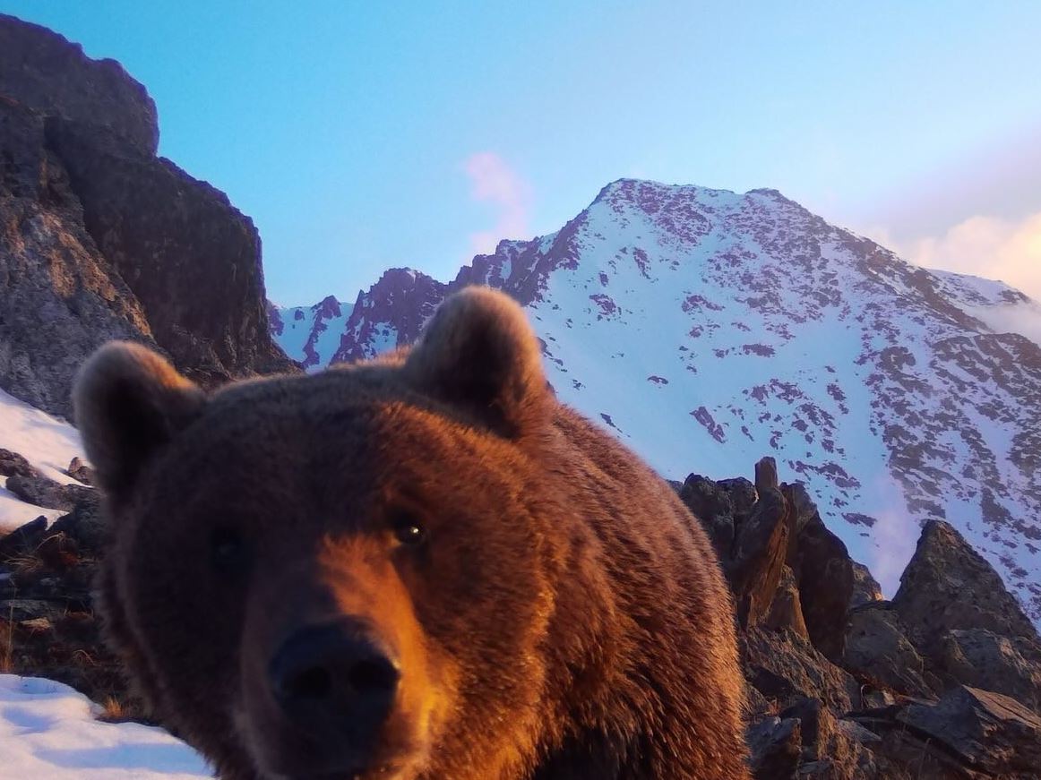 قاتونقاراعايدا قوڭىر ايۋ فوتوتۇزاقتى سىندىرىپ كەتكەن