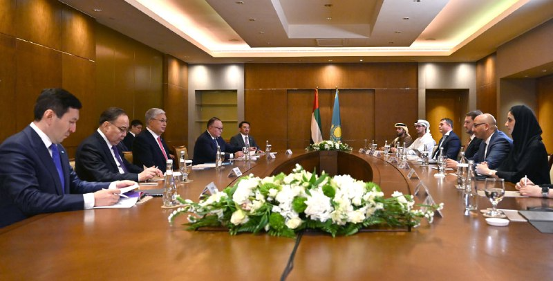 مەملەكەت باسشىسى جي سالاسىنداعى ساراپشىلارمەن تىلدەستى