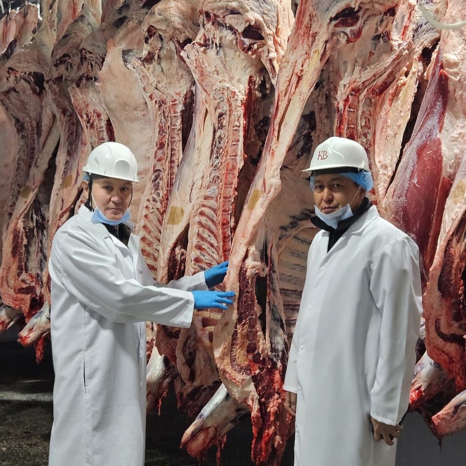 تولىق تسيكلدى ەت كاسىپورنى جۇمىسىمەن تانىستى