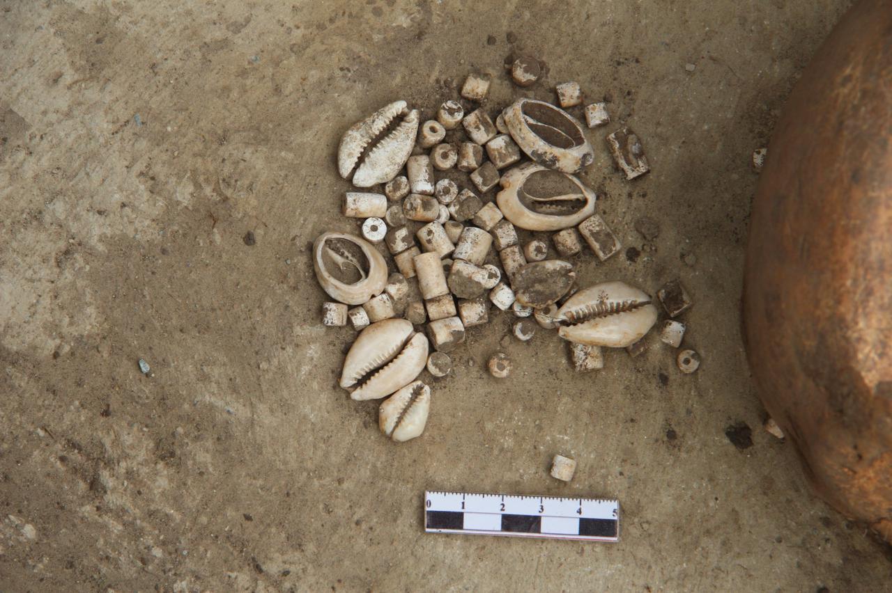 كاۋري مونشاعىن بىلەسىز بە؟