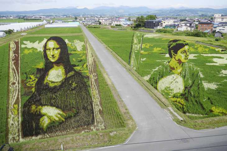 عالام عاجاپتارى: بەدەرلى القاپ