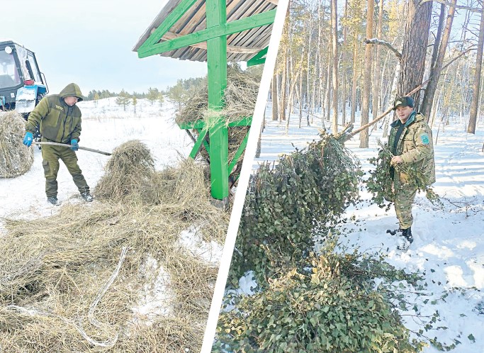 اڭ-قۇسقا اباي بولعان ءجون