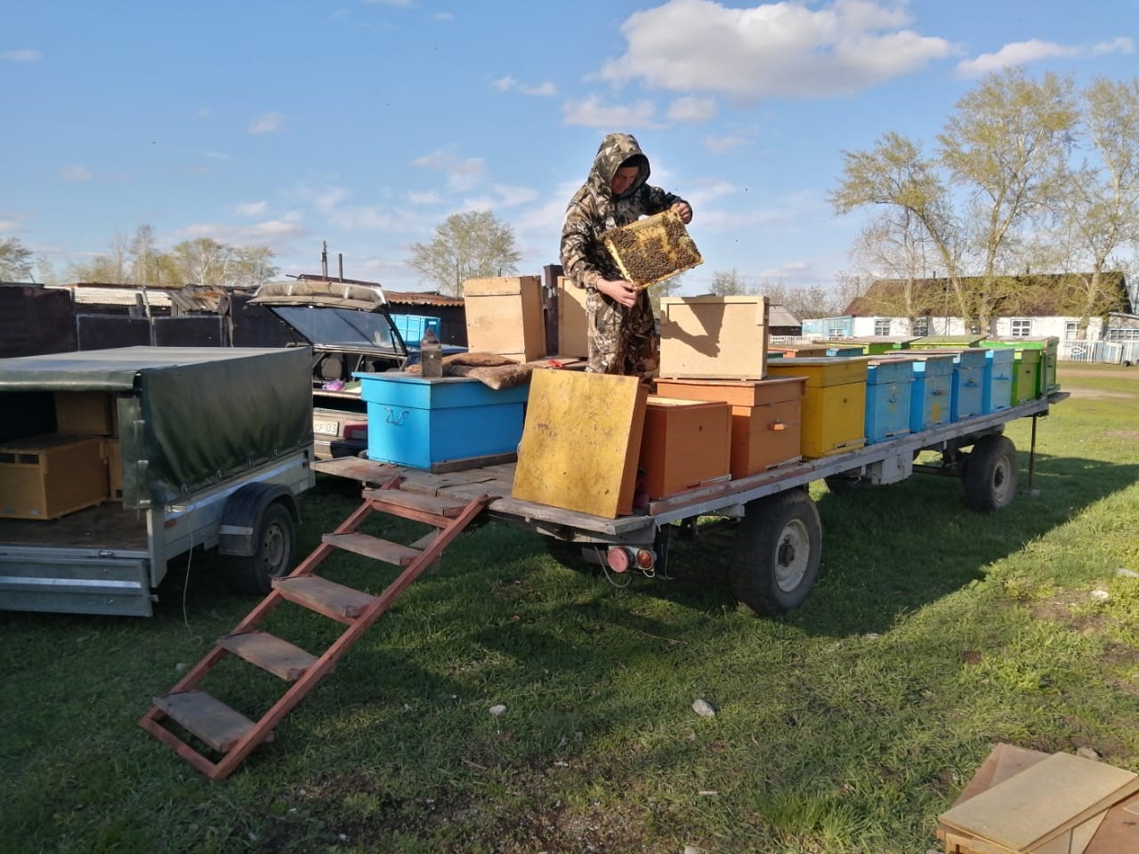 بال اراسى –  باقۋاتتىلىقتىڭ باستاۋى