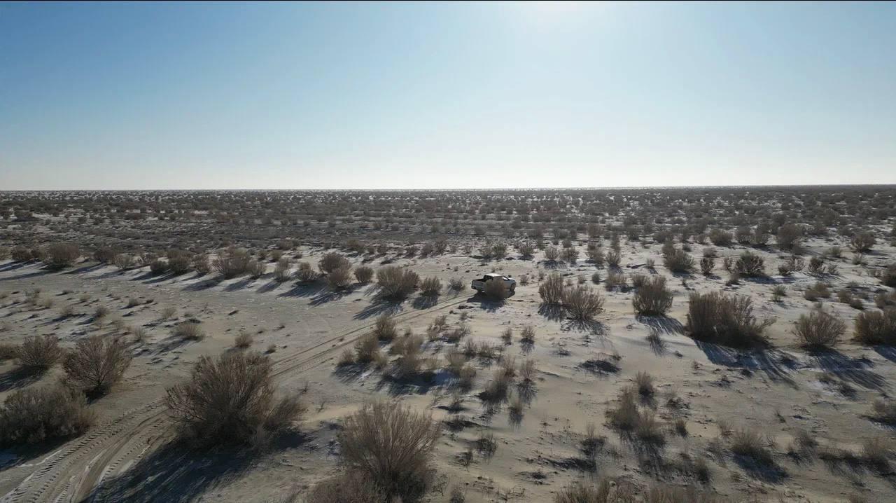 ارال تەڭىزىنىڭ تۇبىنە اعاش وتىرعىزىلادى