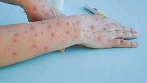 مايمىل شەشەگى ازەربايجانعا جەتتى