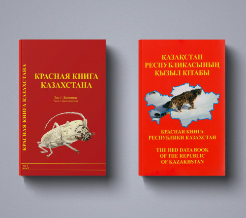 «قىزىل كىتاپتىڭ» بەسىنشى باسىلىمى جارىق كورەدى