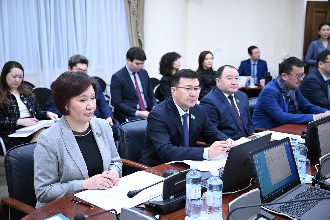 تالىمگەرلىكتى دامىتۋ تۋرالى زاڭدى قارادى