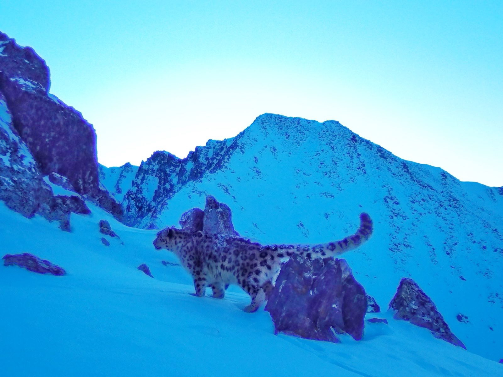 توپقايىڭنىڭ تۇسىندا بارىس ءجۇر