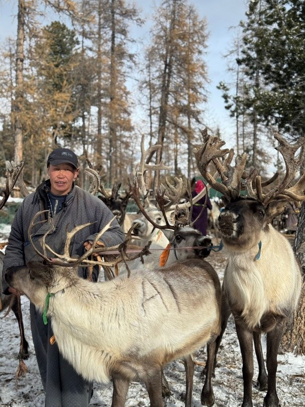 تايگانى جايلاعان دۋحا قاۋىمى