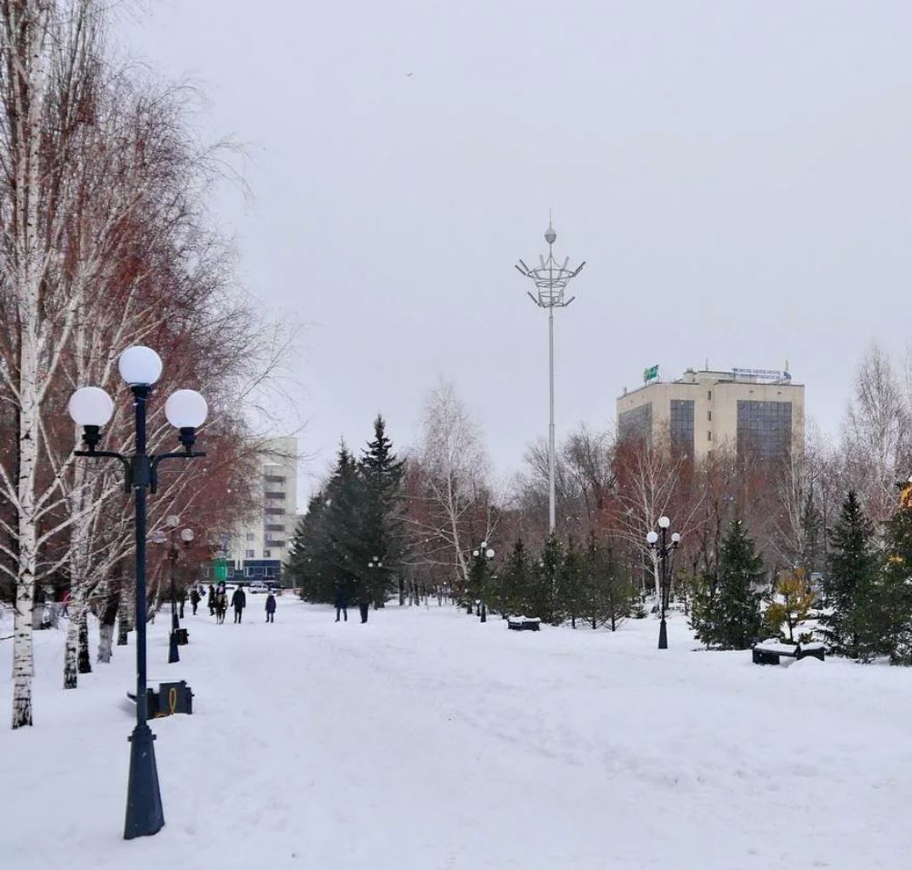 كوكشەنىڭ كوركى كوز تارتادى