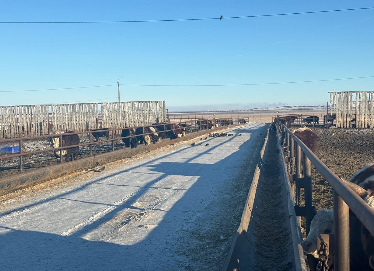 اقباستان اساتىنى جوق