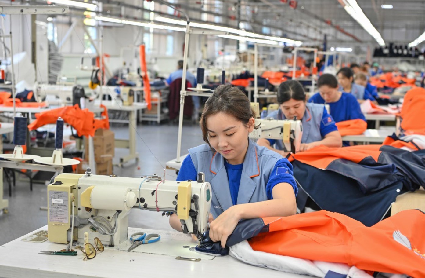 ادالدىقتىڭ ابىرويلى جولى