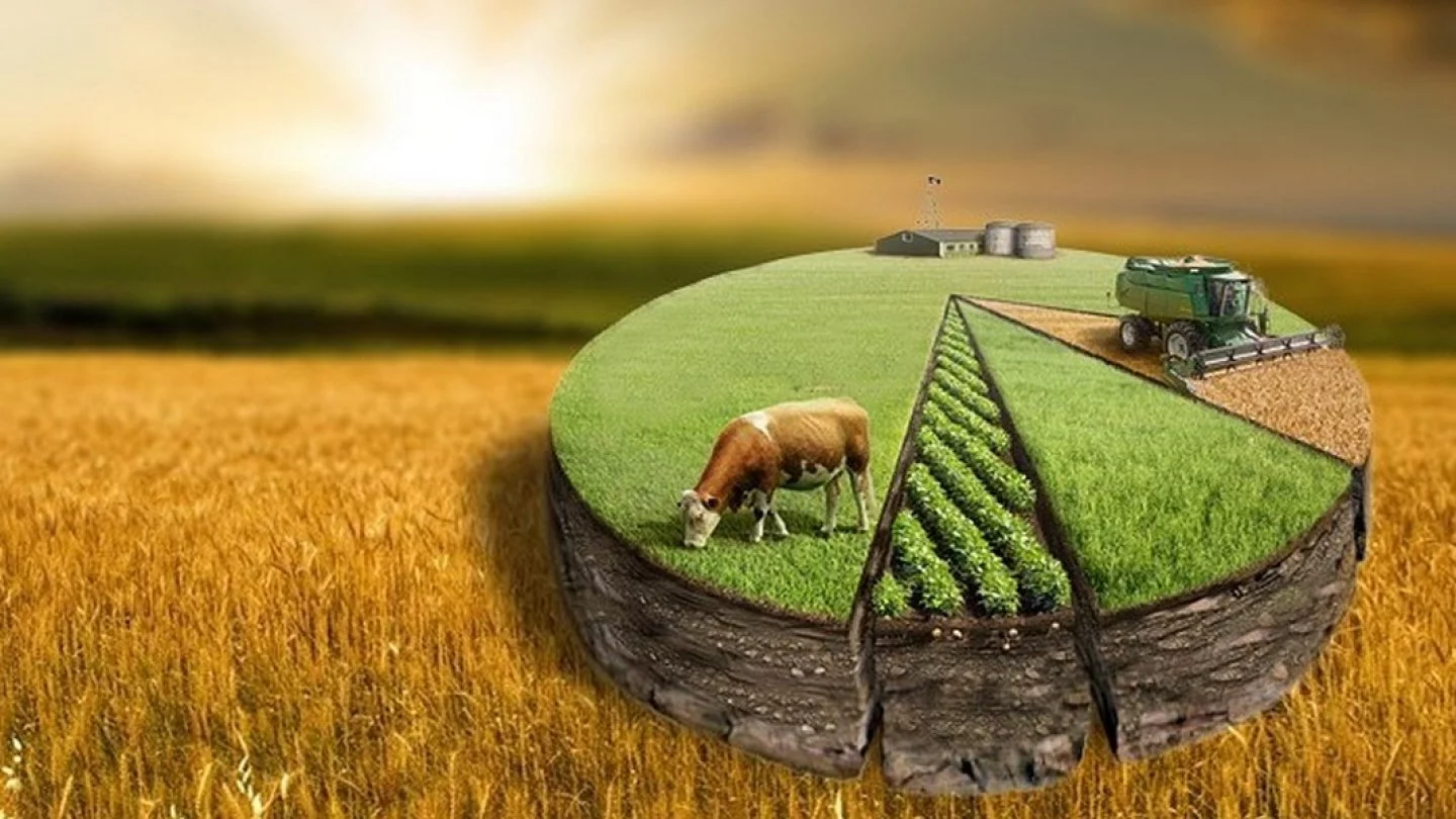 مەملەكەت قورىنا 12,1 ملن گا اۋىل شارۋاشىلىعى جەرى قايتارىلدى