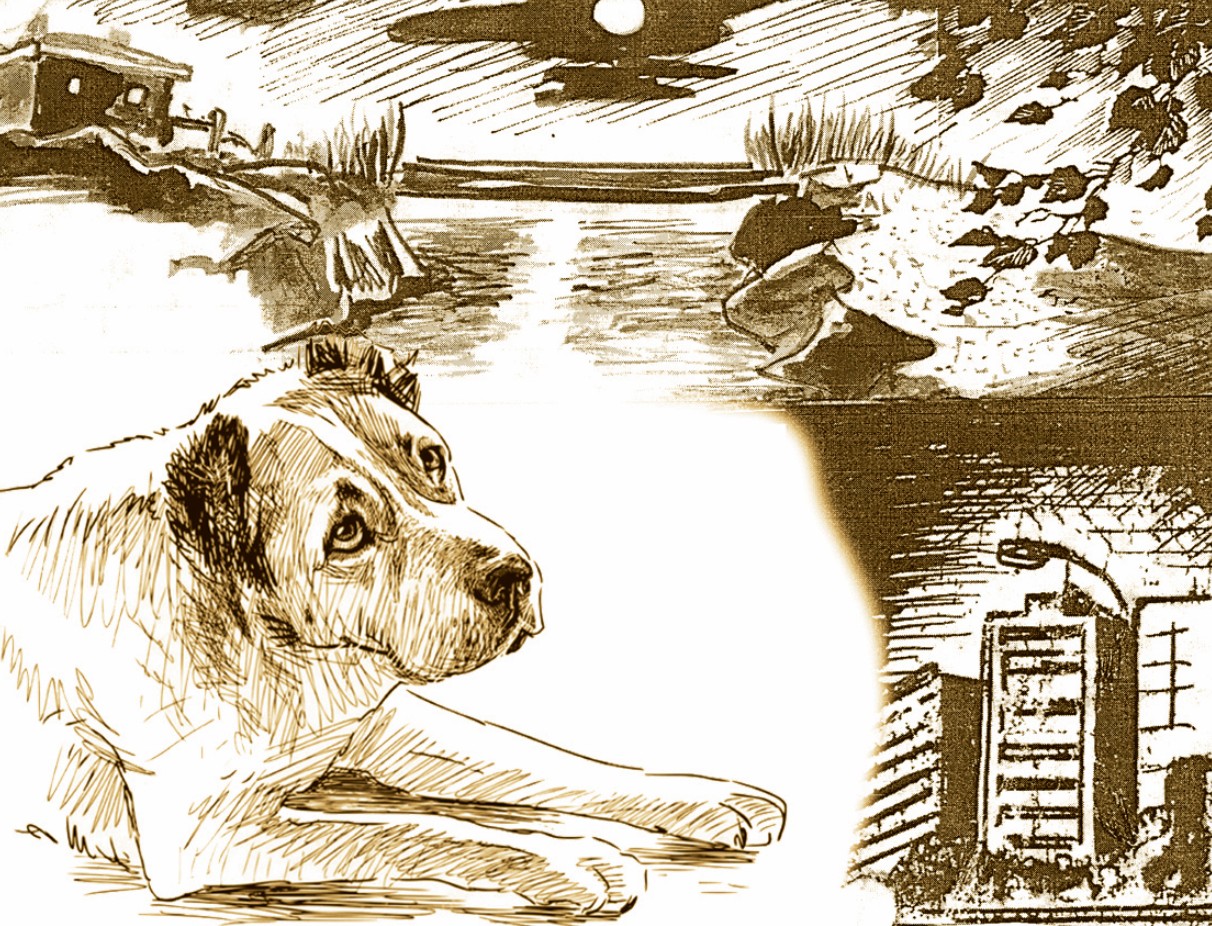 اۋىلدىڭ ءيتى