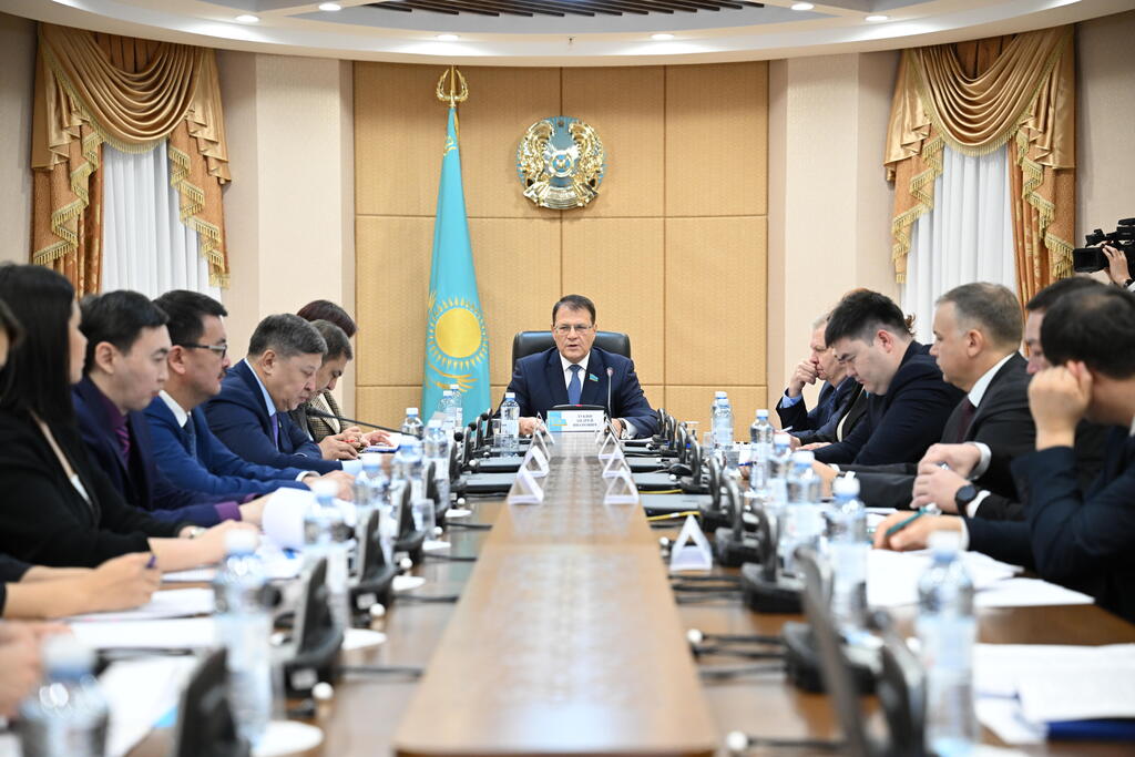 عىلىمدى دامىتۋ كەلەشەگى تالقىلاندى