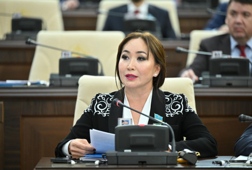 دەپۋتات سوتتالعان ايەلدەرگە امنيستيا جاريالاۋدى سۇرادى