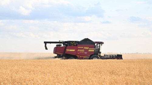 26,7 ملن توننا استىق: بىلتىر ديقاندار سوڭعى 13 جىلدا بولماعان كورسەتكىشكە جەتكەن