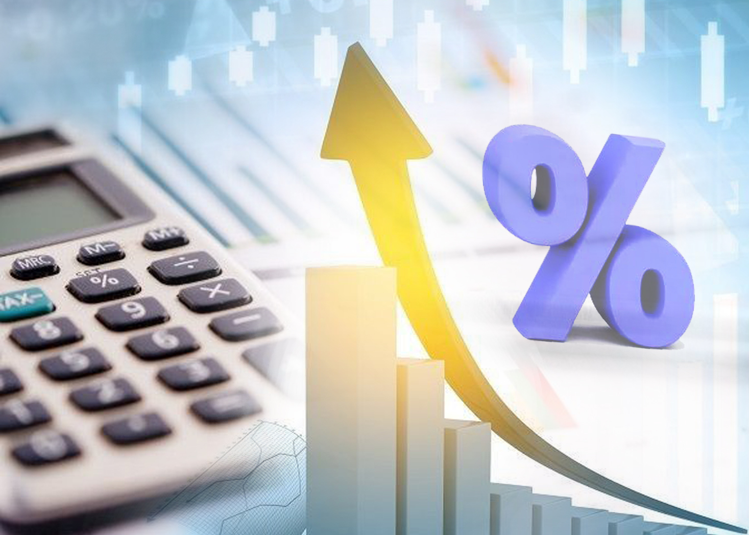 قۇن سالىعى نەگە كوتەرىلەدى؟