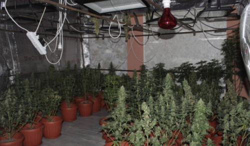 قىزىلوردادا پوليتسيا ۇيىندە قاراسورا وسىرگەن تۇرعىندى ۇستادى