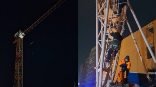 استانادا ەر ادام كراننان سەكىرمەك بولعان