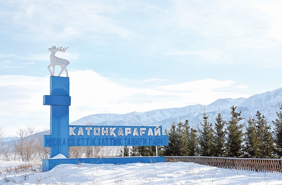 شاڭعى بازاسىن سالۋعا نە كەدەرگى؟